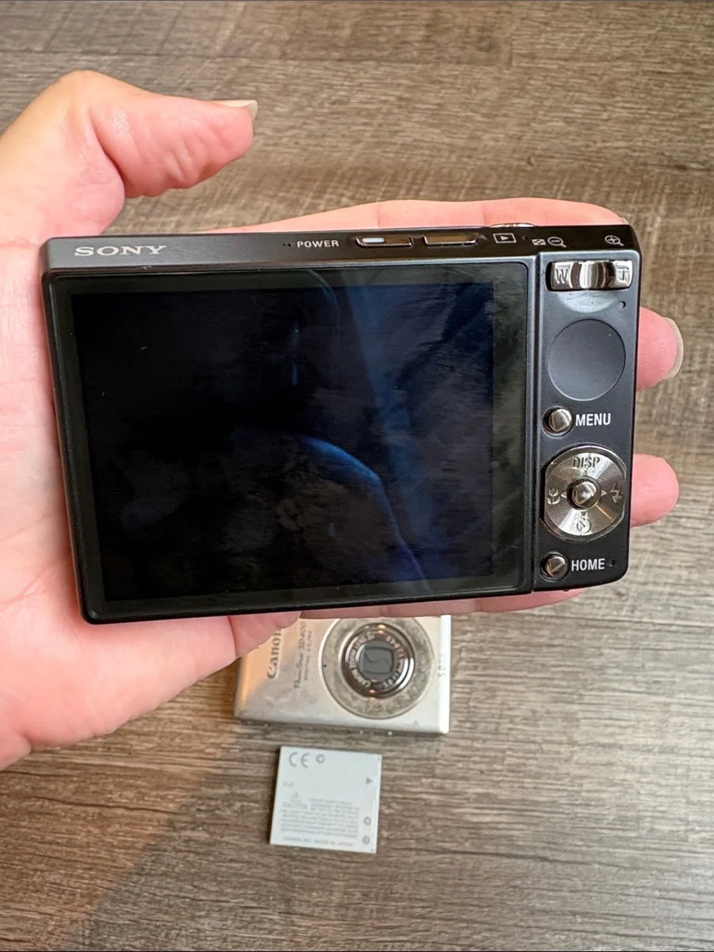Panasonic lumix canon